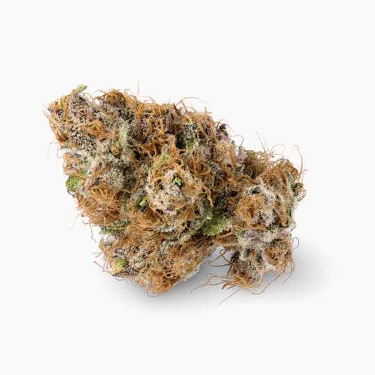 Prūf Cultivar - Prūf Cultivar | Alien Apple Warp | Smalls | 7G - 1