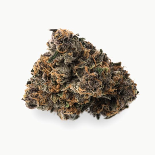 Prūf Cultivar - Prūf Cultivar | Silverback Stiletto | Smalls | 7G - 1