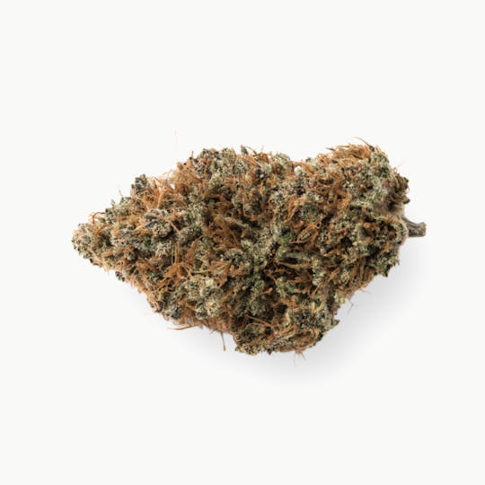Prūf Cultivar - Prūf Cultivar | Goat Blocks | Flower | 28G - 1