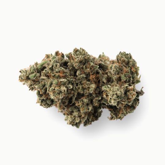 Prūf Cultivar - Prūf Cultivar | Seaside Stiletto | Smalls | 14G - 1