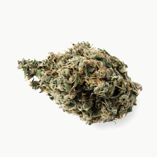 Prūf Cultivar - Prūf Cultivar | Strawberry Bark | Smalls | 7G - 1