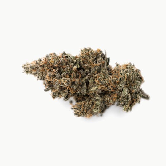 Prūf Cultivar - Prūf Cultivar | The Gorge | Smalls | 7G - 1