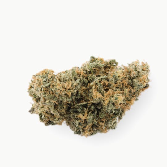Prūf Cultivar - Prūf Cultivar | Pineapple Zest | Flower | 28G - 1