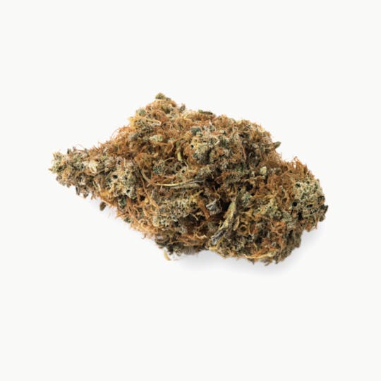 Prūf Cultivar - Prūf Cultivar | Tangerine Jack | Flower | 28G - 1