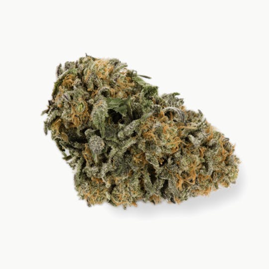Prūf Cultivar - Prūf Cultivar | Sour Lemon Sour Diesel | Smalls | 7G - 1