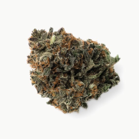Prūf Cultivar - Prūf Cultivar | Sherbet | Smalls | 14G - 1
