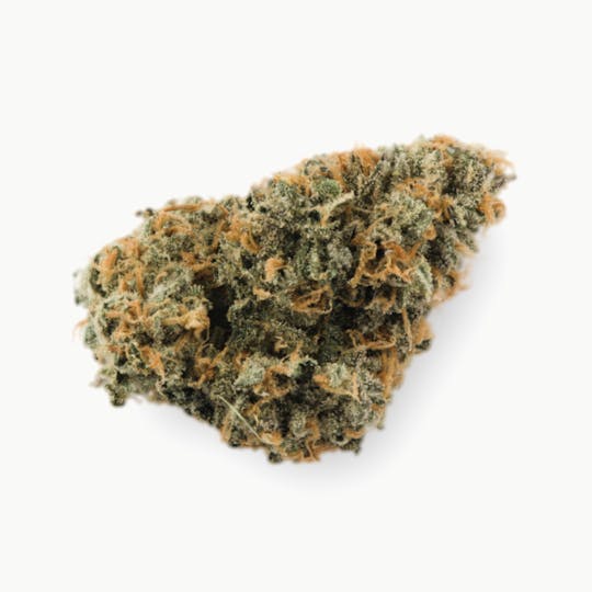 Prūf Cultivar - Prūf Cultivar | Key Lime Pie | Smalls | 14G - 1