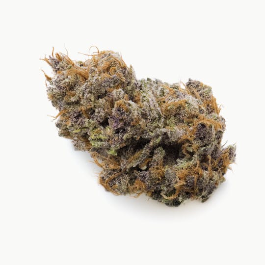 Prūf Cultivar - Prūf Cultivar | Pink 92 | Flower | 7G - 1