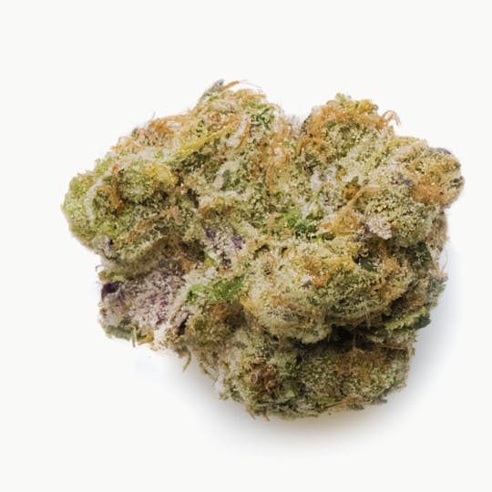Prūf Cultivar - Prūf Cultivar | GSC | Flower | 3.5G - 1