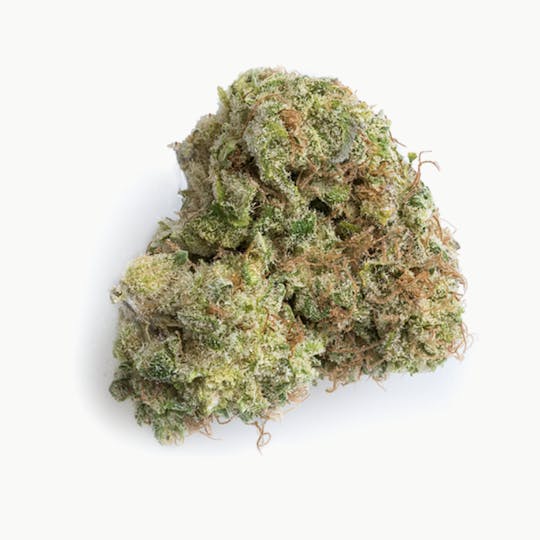 Prūf Cultivar - Prūf Cultivar | Agent Orange | Smalls | 7G - 1