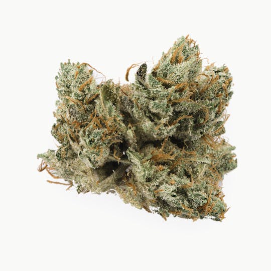 Prūf Cultivar - Prūf Cultivar | Platinum OG Kush | Flower | 7G - 1