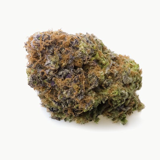 Prūf Cultivar - Prūf Cultivar | Blue City Diesel | Smalls | 14G - 1
