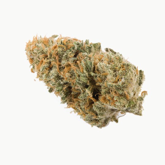 Prūf Cultivar - Prūf Cultivar | Tangie Cookies | Flower | 28G - 1