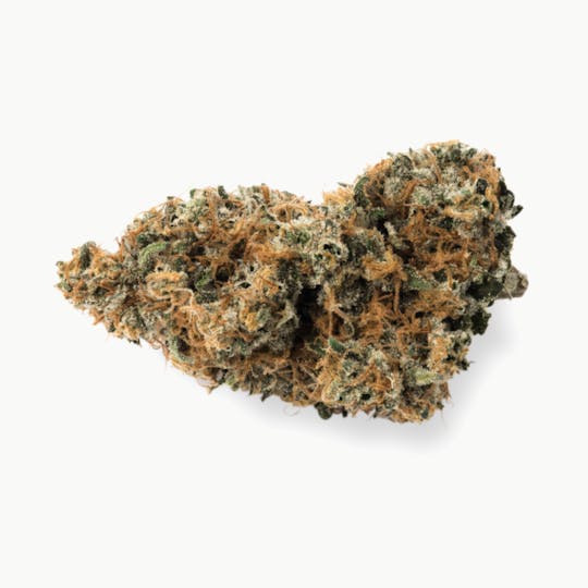 Prūf Cultivar - Prūf Cultivar | Timberline Haze | Smalls | 7G - 1