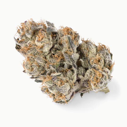 Prūf Cultivar - Prūf Cultivar | Tropicanna Punch | Flower | 7G - 1