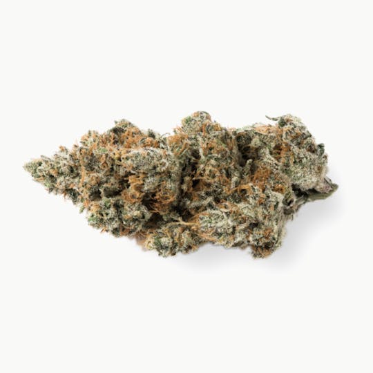 Prūf Cultivar - Prūf Cultivar | Blueberry Sorbet | Flower | 14G - 1