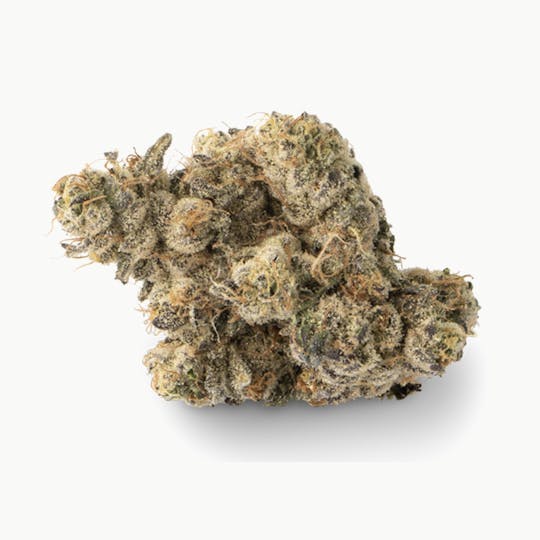 Prūf Cultivar - Prūf Cultivar | Rose Gold | Smalls | 7G - 1