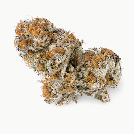 Prūf Cultivar - Prūf Cultivar | Uranium V2 | Flower | 14G - 1