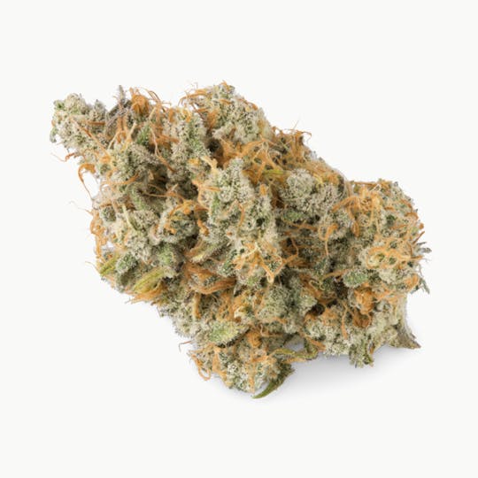 Prūf Cultivar - Prūf Cultivar | Sonic Screwdriver | Flower | 3.5G - 1