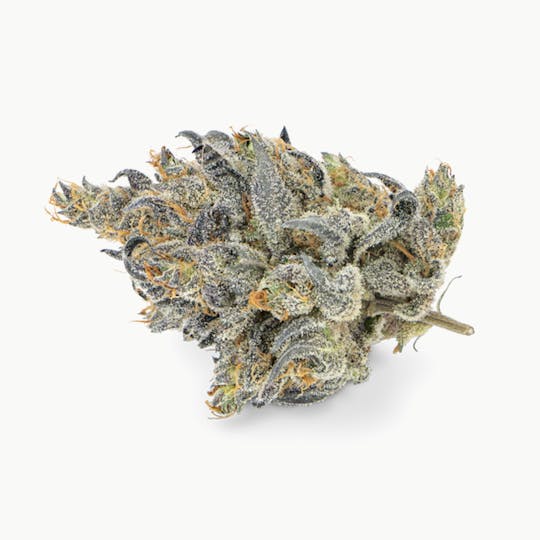 Prūf Cultivar - Prūf Cultivar | Banana Bread | Flower | 7G - 1