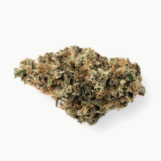 Prūf Cultivar - Prūf Cultivar | Steel Bridge | Flower | 28G - 1