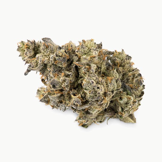 Prūf Cultivar - Prūf Cultivar | Ursa Major | Flower | 28G - 1