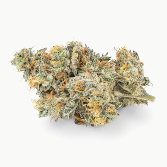 Prūf Cultivar - Prūf Cultivar | Grape Cake | Smalls | 14G - 1