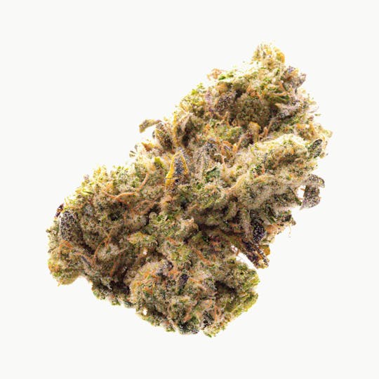 Prūf Cultivar - Prūf Cultivar | Grumpy Bananas #9 | Flower | 7G - 1