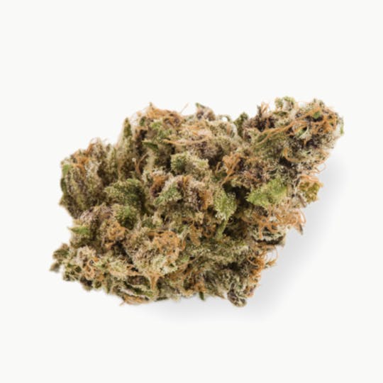 Prūf Cultivar - Prūf Cultivar | Astral Works | Flower | 7G - 1