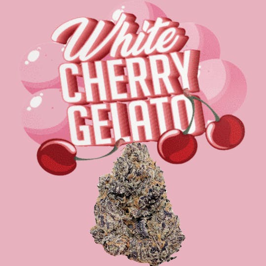 SUPPLY LA - White Cherry Gelato | Top Shelf | Limited Drop! | 28g | Ounce - 1