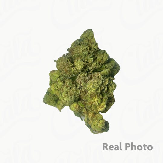 Stingers - GG4 - 7 gram - 1