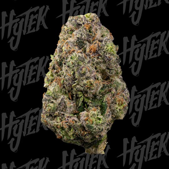 Hytek - HYTEK | BUBBLEGUM SHERB | BULK DELI FLOWER - 1
