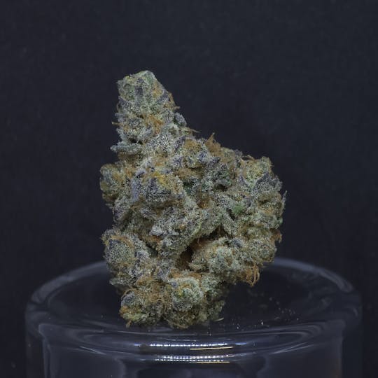 BAM Alaska - Animal Mints 1.5g Fat Boy - 1