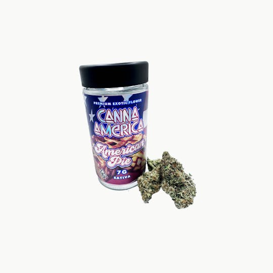 Canna America - American Pie - 7g - 1
