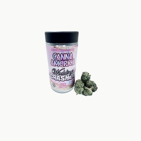 Canna America - Wedding Crasher - 7g - 1
