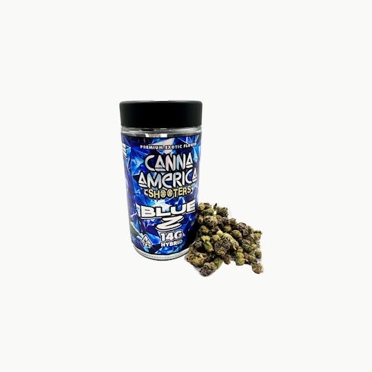 Canna America - Blue Z - 14g Shooters - 1