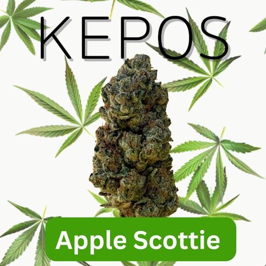 Nu Cannabis Brand - Kepos - Apple Scottie 14g - PREMIUM FLOWERS - 1