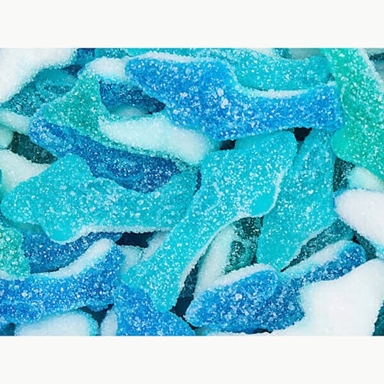 Stingers - Gummy Sharks - GS 108 - 1