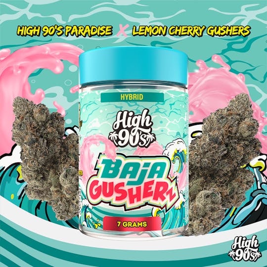 HIGH 90s - High 90s : Baja Gusherz 7g Small Nugs Flower - 1