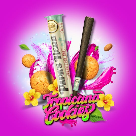 Papa's Herb - Tropicana Cookies (S) Blunt (1g) - 1