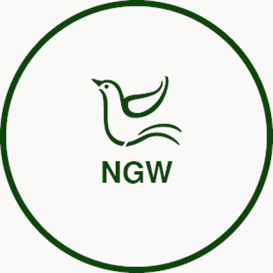 Nature's Grace and Wellness - Nature's Grace | 3.5g Flower - KGB Cookies - 1