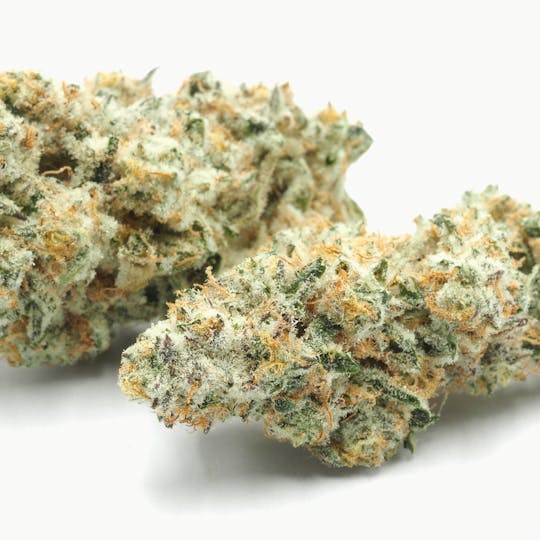 Inadaze - Inadaze | Zookies Premium 1/8 - 1