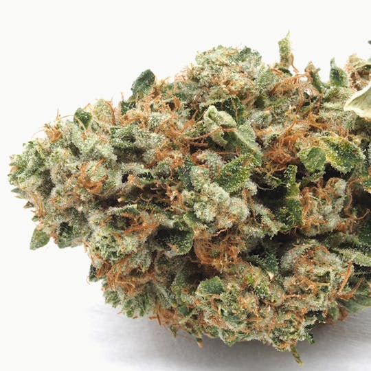 Inadaze - Inadaze | Face Off OG Premium 1/8 - 1