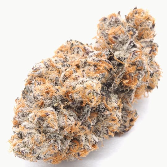 Inadaze - Inadaze | Jelly Doughnutz Premium 1/8 - 1