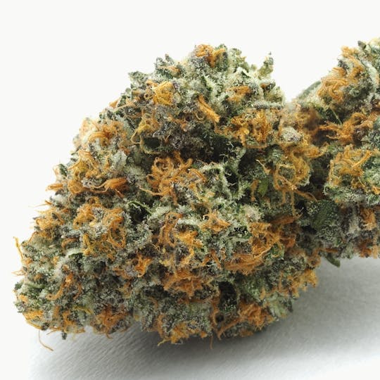 Inadaze - Inadaze | Chem De La Cake Premium 1/8 - 1