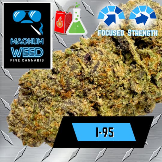 Magnum Weed - Magnum I-95 - 1
