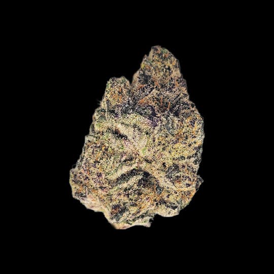Auraz - Caleta Flower | Money Over Bitches (MOB) - 1
