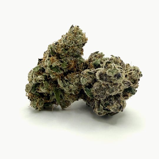 Oregrown - Oregrown - Animal Tsunami Bulk Flower - 1