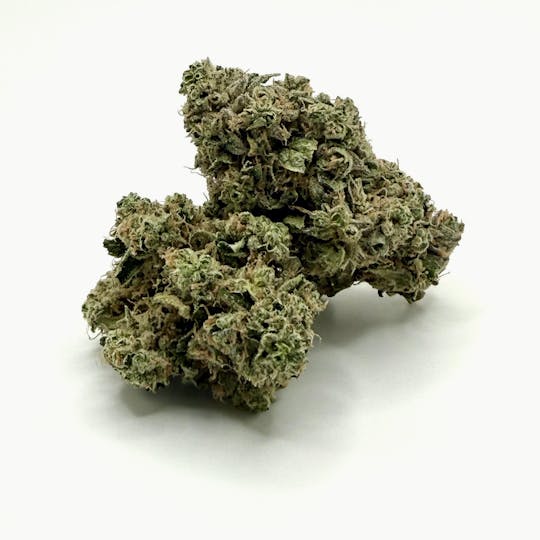Oregrown - Oregrown - Old Dirty Zastard "ODZ" Bulk Flower - 1
