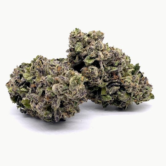 Oregrown - Oregrown - Sherb Cream Pie Bulk Flower - 1